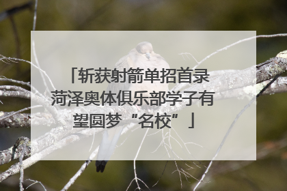 斩获射箭单招首录 菏泽奥体俱乐部学子有望圆梦“名校”