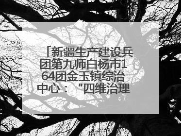 新疆生产建设兵团第九师白杨市164团金玉镇综治中心：“四维治理”淬炼边疆“枫桥样本”