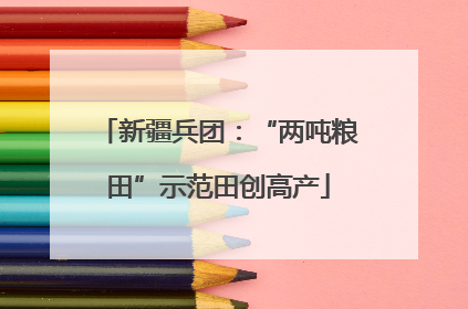 新疆兵团：“两吨粮田”示范田创高产