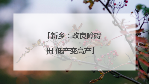 新乡：改良障碍田 低产变高产
