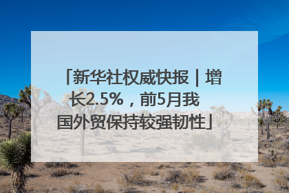 新华社权威快报｜增长2.5%，前5月我国外贸保持较强韧性