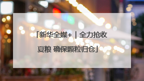 新华全媒+｜全力抢收夏粮 确保颗粒归仓