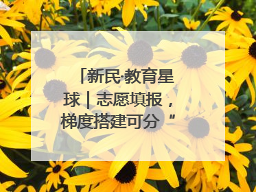 新民·教育星球｜志愿填报，梯度搭建可分“冲稳保”三档