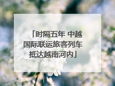 时隔五年 中越国际联运旅客列车抵达越南河内