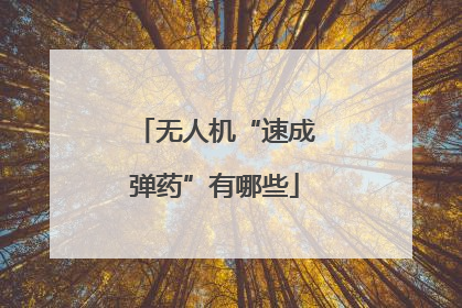 无人机“速成弹药”有哪些
