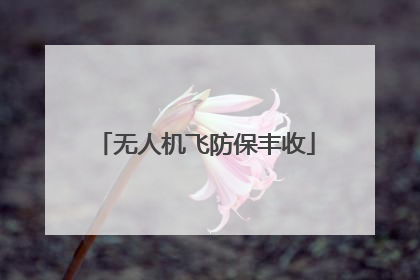 无人机飞防保丰收