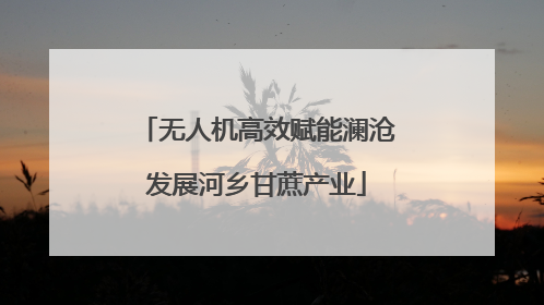 无人机高效赋能澜沧发展河乡甘蔗产业