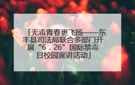 无毒青春更飞扬——东丰县司法局联合多部门开展“6．26”国际禁毒日校园宣讲活动