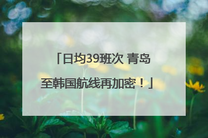 日均39班次 青岛至韩国航线再加密！