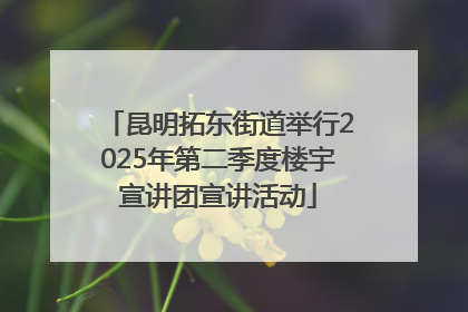 昆明拓东街道举行2025年第二季度楼宇宣讲团宣讲活动