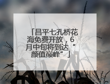 昌平七孔桥花海免费开放，6月中旬将到达“颜值巅峰”