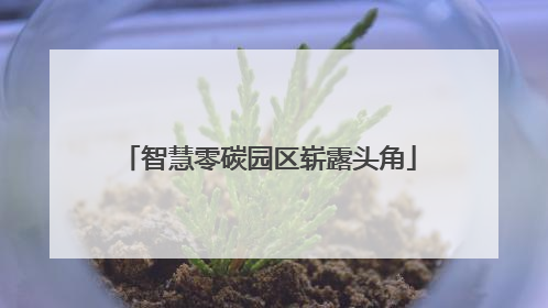 智慧零碳园区崭露头角