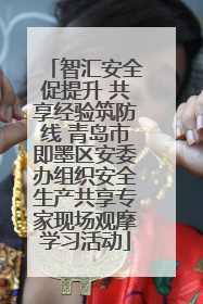 智汇安全促提升 共享经验筑防线 青岛市即墨区安委办组织安全生产共享专家现场观摩学习活动
