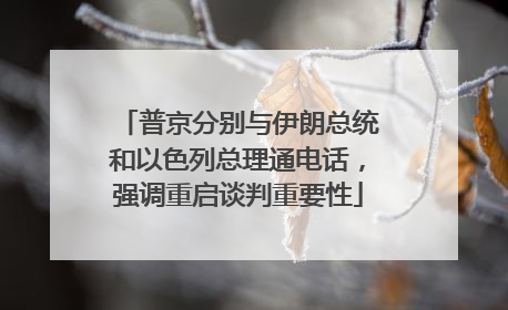普京分别与伊朗总统和以色列总理通电话，强调重启谈判重要性