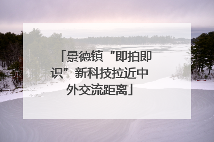 景德镇“即拍即识”新科技拉近中外交流距离