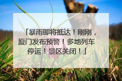 暴雨即将抵达！刚刚，厦门发布预警！多地列车停运！景区关闭！