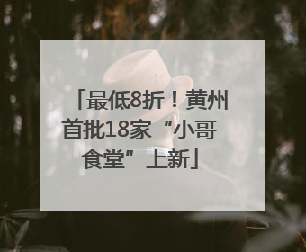 最低8折！黄州首批18家“小哥食堂”上新