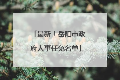 最新！岳阳市政府人事任免名单