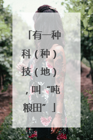 有一种科（种）技（地），叫“吨粮田”