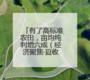 有了高标准农田，亩均纯利增六成（经济聚焦·夏收里的“新选手”）
