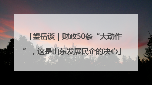 望岳谈｜财政50条“大动作”，这是山东发展民企的决心