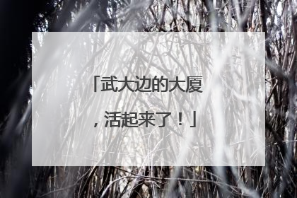 武大边的大厦，活起来了！