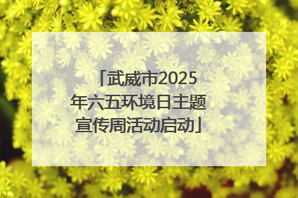 武威市2025年六五环境日主题宣传周活动启动