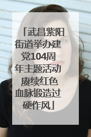 武昌紫阳街道举办建党104周年主题活动 赓续红色血脉锻造过硬作风