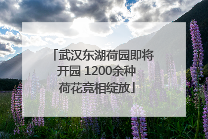 武汉东湖荷园即将开园 1200余种荷花竞相绽放