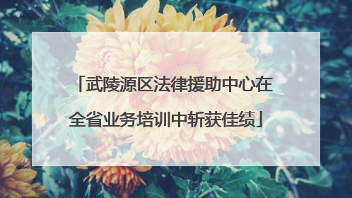 武陵源区法律援助中心在全省业务培训中斩获佳绩