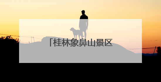 桂林象鼻山景区入园制度反复调整：一年不到又恢复实名制分时预约