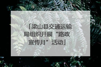 梁山县交通运输局组织开展“路政宣传月”活动