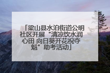 梁山县水泊街道公明社区开展“清凉饮水润心田 向日葵开花祝夺魁”助考活动