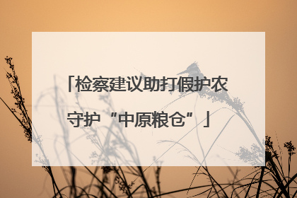 检察建议助打假护农守护“中原粮仓”