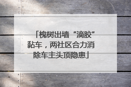 槐树出墙“滴胶”黏车，两社区合力消除车主头顶隐患