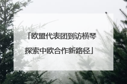 欧盟代表团到访横琴 探索中欧合作新路径