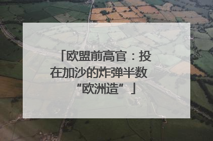 欧盟前高官：投在加沙的炸弹半数“欧洲造”