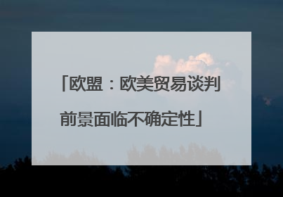 欧盟：欧美贸易谈判前景面临不确定性