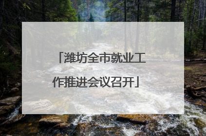 潍坊全市就业工作推进会议召开