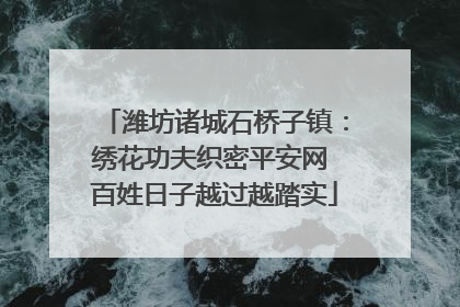 潍坊诸城石桥子镇：绣花功夫织密平安网 百姓日子越过越踏实