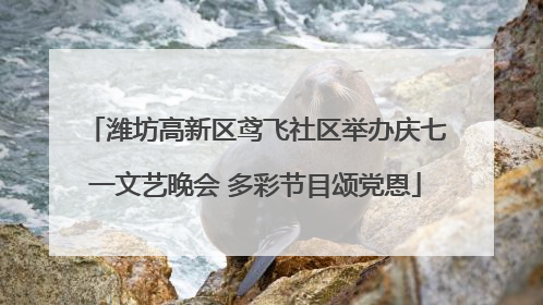 潍坊高新区鸢飞社区举办庆七一文艺晚会 多彩节目颂党恩