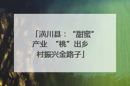潢川县：“甜蜜”产业  “桃”出乡村振兴金路子