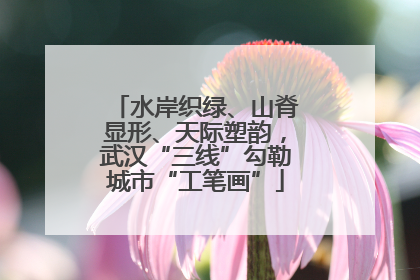 水岸织绿、山脊显形、天际塑韵，武汉“三线”勾勒城市“工笔画”