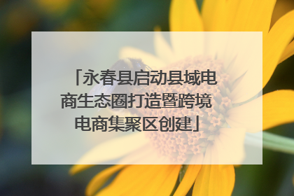 永春县启动县域电商生态圈打造暨跨境电商集聚区创建