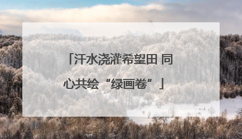 汗水浇灌希望田 同心共绘“绿画卷”