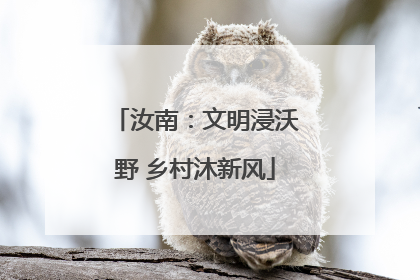 汝南：文明浸沃野 乡村沐新风