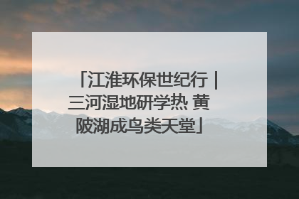 江淮环保世纪行｜三河湿地研学热 黄陂湖成鸟类天堂