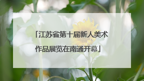 江苏省第十届新人美术作品展览在南通开幕
