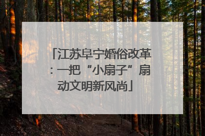 江苏阜宁婚俗改革：一把“小扇子”扇动文明新风尚