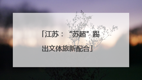 江苏：“苏超”踢出文体旅新配合